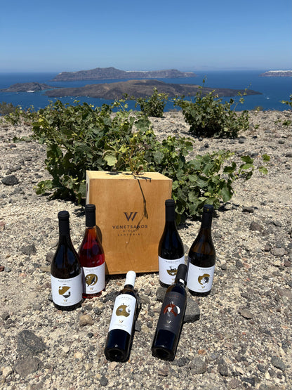 Venetsanos Santorini Assyrtiko Single Vineyard 2021 (750ml)